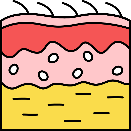 diagram of skin layers